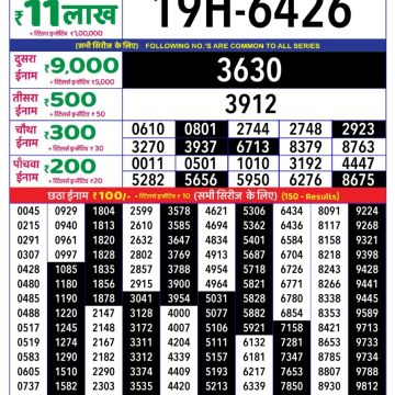 Dear Lottery Chart 2024