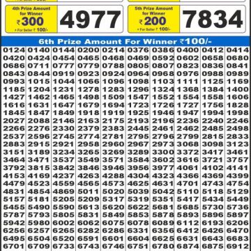 Dear Lottery Chart 2024