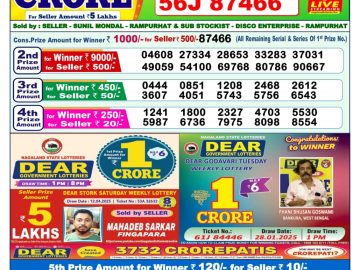 Dear Lottery Chart 2024