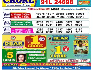Dear Lottery Chart 2024