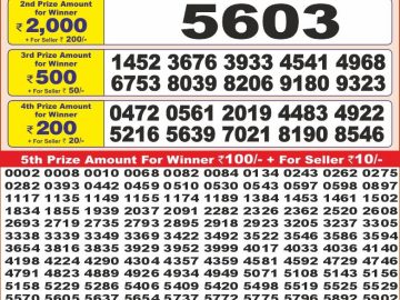 Dear Lottery Chart 2024