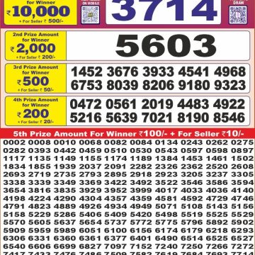 Dear Lottery Chart 2024