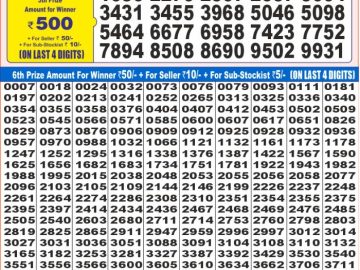 Dear Lottery Chart 2024