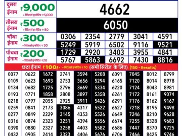 Dear Lottery Chart 2024