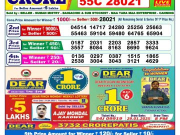Dear Lottery Chart 2024
