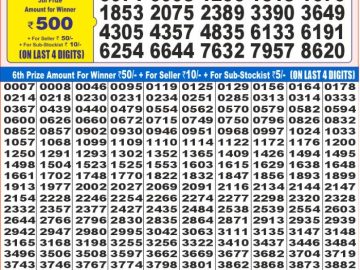 Dear Lottery Chart 2024
