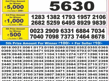 Dear Lottery Chart 2024