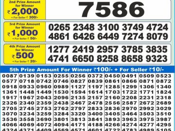 Dear Lottery Chart 2024