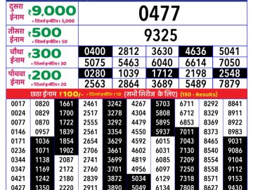 Dear Lottery Chart 2024