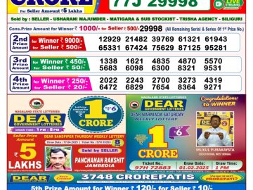 Dear Lottery Chart 2024