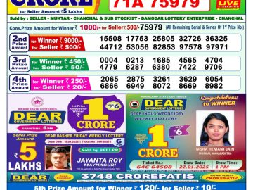 Dear Lottery Chart 2024