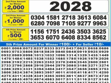 Dear Lottery Chart 2024