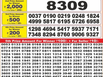 Dear Lottery Chart 2024