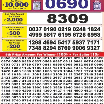 Dear Lottery Chart 2024