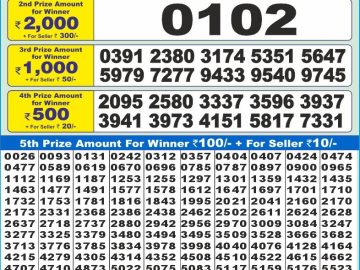 Dear Lottery Chart 2024