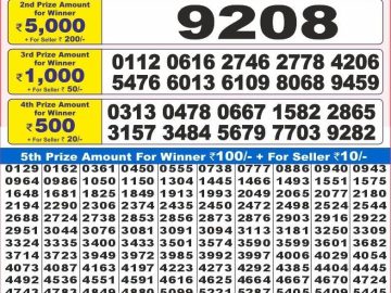 Dear Lottery Chart 2024