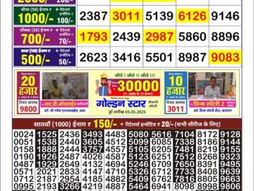 Dear Lottery Chart 2024