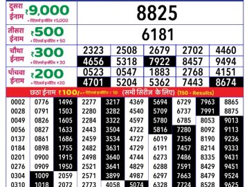 Dear Lottery Chart 2024