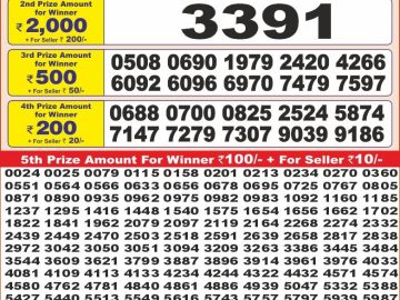 Dear Lottery Chart 2024