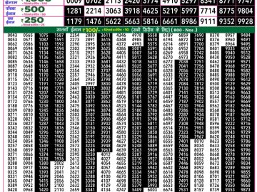 Dear Lottery Chart 2024