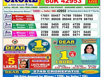 Dear Lottery Chart 2024