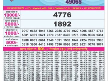 Dear Lottery Chart 2024