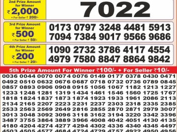 Dear Lottery Chart 2024