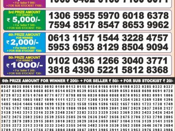 Dear Lottery Chart 2024