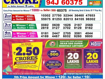 Dear Lottery Chart 2024