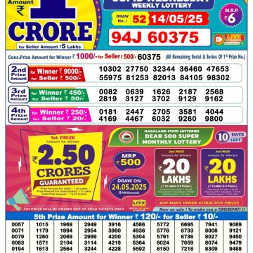 Dear Lottery Chart 2024