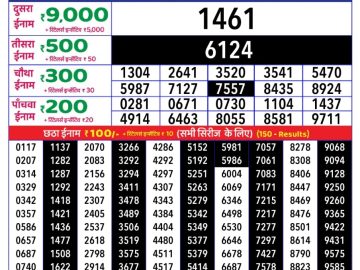 Dear Lottery Chart 2024