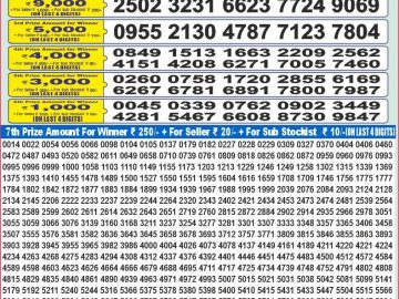 Dear Lottery Chart 2024