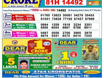 Dear Lottery Chart 2024