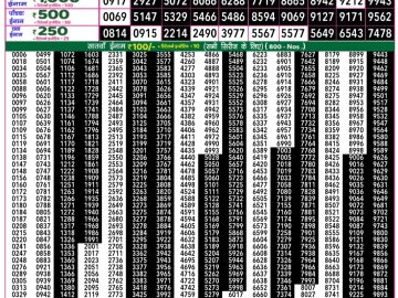 Dear Lottery Chart 2024