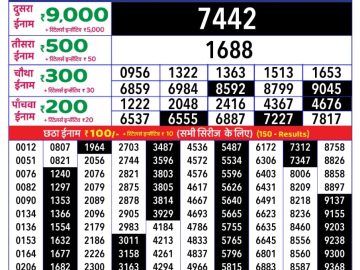 Dear Lottery Chart 2024