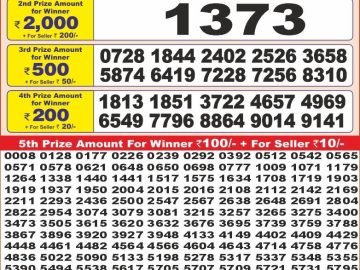 Dear Lottery Chart 2024