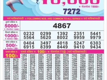 Dear Lottery Chart 2024