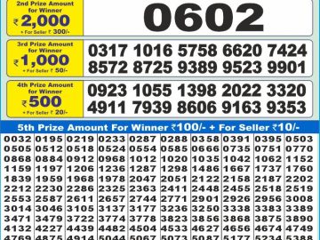 Dear Lottery Chart 2024