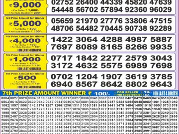 Dear Lottery Chart 2024