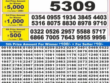 Dear Lottery Chart 2024