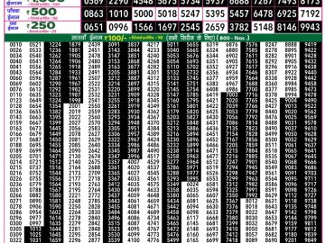 Dear Lottery Chart 2024