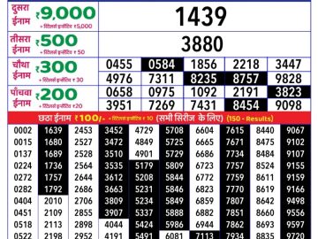 Dear Lottery Chart 2024