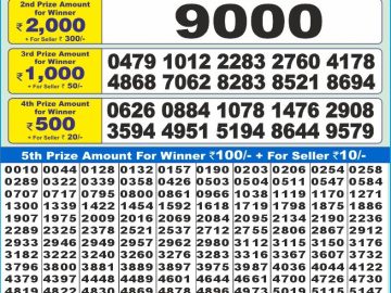Dear Lottery Chart 2024