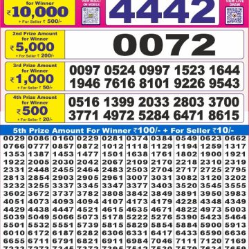 Dear Lottery Chart 2024