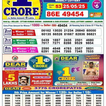 Dear Lottery Chart 2024