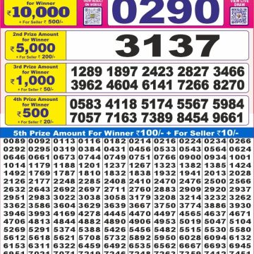 Dear Lottery Chart 2024