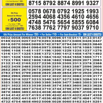 Dear Lottery Chart 2024