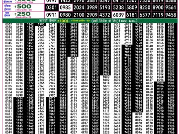 Dear Lottery Chart 2024