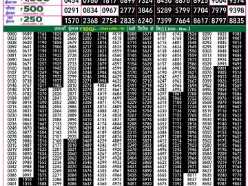 Dear Lottery Chart 2024