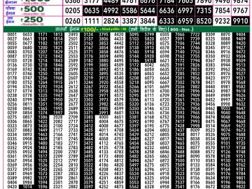 Dear Lottery Chart 2024